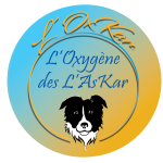 logo L'OxKar - L'Oxygène des L'AsKar