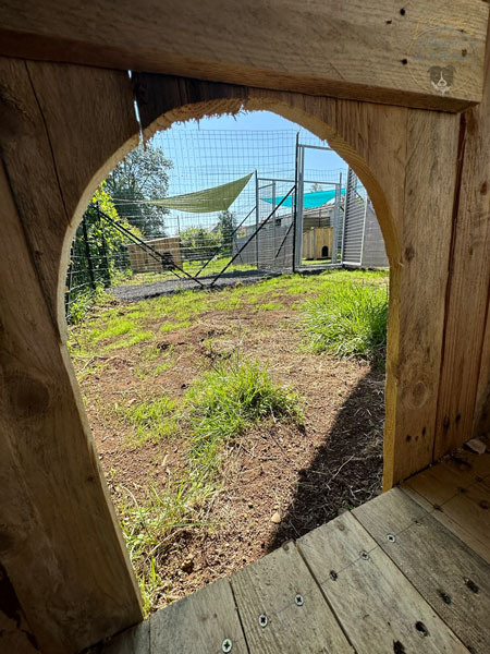 Vue_depuis_la_cabane_dans_le_parc