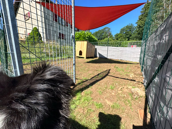 parc_individuel_vue_du_chien